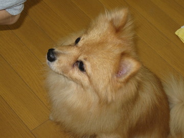 ������뤵��ǡ���