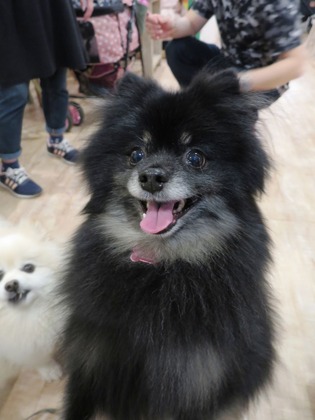 2018(H30)-5-2 åפ礤(L Pin,z) (14)