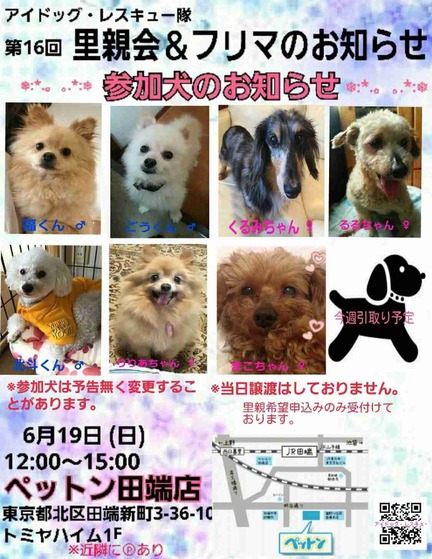 ペットン里親会