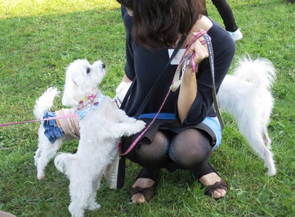 2017-11-3 卒オフ会 (29)