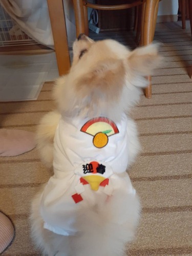 ޤͮɡ2020(R2)-1-1 01