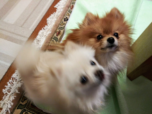 2021(R3)-1-28 ����3ǯ������� (10)