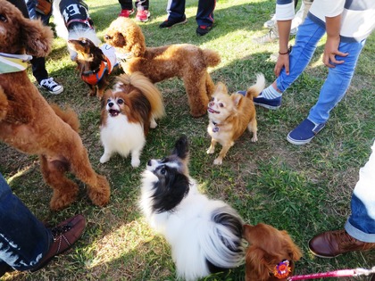 2015(H27)-10-25 第2回卒オフ (189)