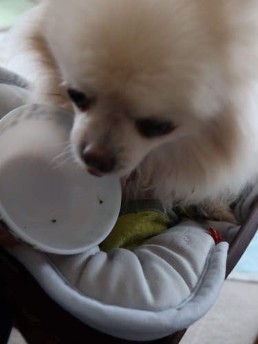 2021(R3)-3-6 ミルチャの食事作法 (8)