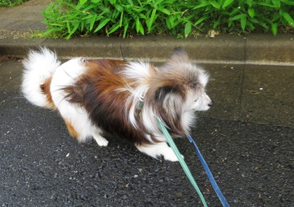 2019(H31)-4-25  夬βֻ (8)