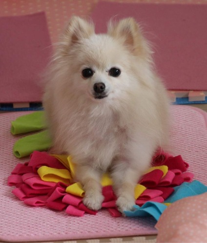 2020(R2)-5-20 �ȥ饤����13���� (3)