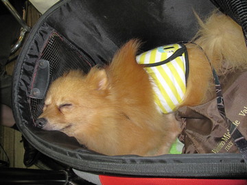 ����줵��