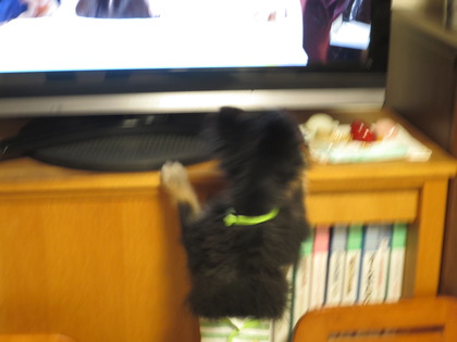 2017(H29)-10-15 ֤󹥤 (2)