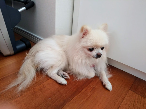 2021(R3)-1-20 �ߥ����ο���� (5)