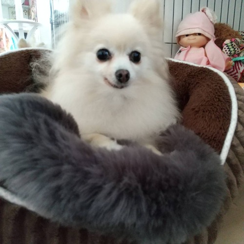 2021(R3)-5-8 ロージィ通信 (2)