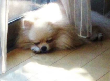 170721 03 トライアル2日目