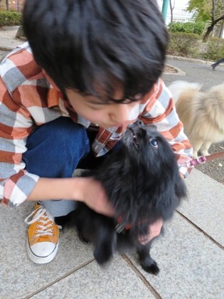 2014(H26)-11-23 ロビン18歳誕生会 (58)