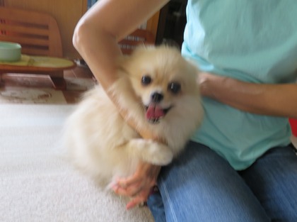 2017(H29)-7-3 �ť��� (4)