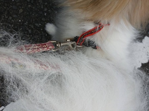 2019(R1)-8-7 �ϥ�Υ��륯�뻶�� (6)