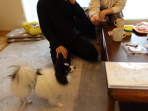 2021(R3)-3-20 トムお届け (6)