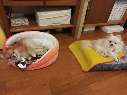 2020(R2)-11-28 īӤθ (3)