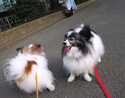 2018(H30)-7-18 İ˥å (4)