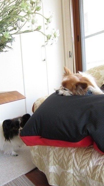 2013_0507_103246-IMG_2665