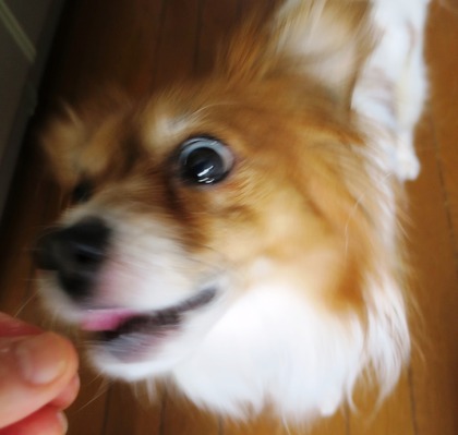 2018(H30)-6-26  (18)