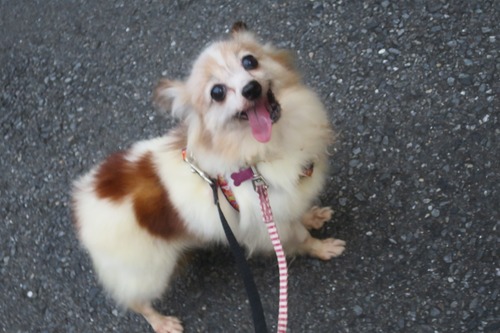 2020(R2)-7-16 ˥˥ŷ (9)