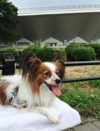 2016(H28)-8-22 トライアル中 08