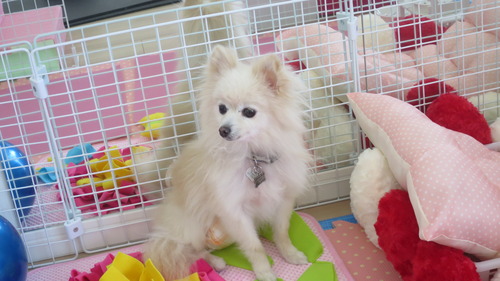 2020(R2)-5-8 ���������Υȥ饤���� (8)