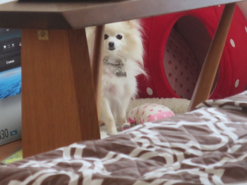 2020(R2)-4-29 �������ͷ�ӤΥ������� (4)