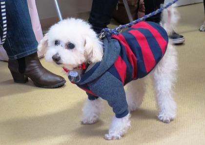 2018(H30)-1-20 第36会巣鴨里親会 (10)