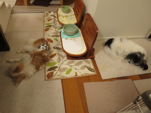 Ƭ 2019(R1)-11-24 (3)