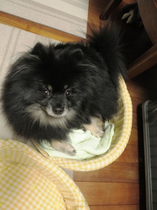 2018(H30)-4-22 �Ϥ߽Ф��� (3)