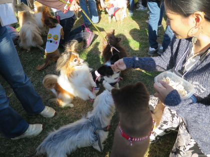 2015(H27)-10-25 第2回卒オフ (182)