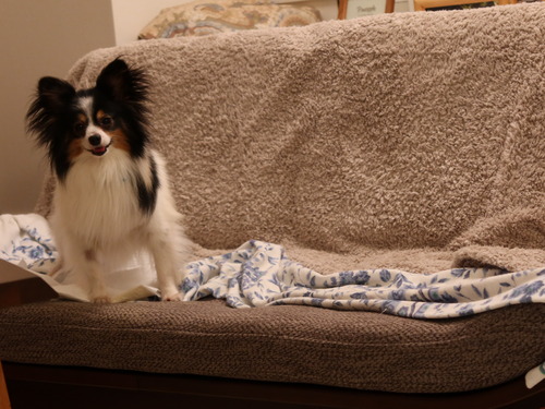 2021(R3)-3-18 �ѥԥݥ�ͽ����줾�� (1)