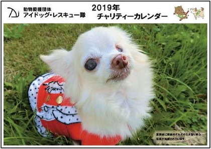 ○2019 カレンダー表紙