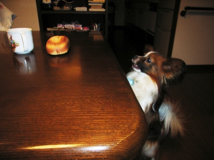 パン目指してよいしょ