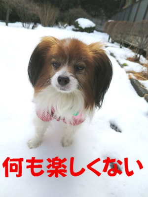 BlogPaint