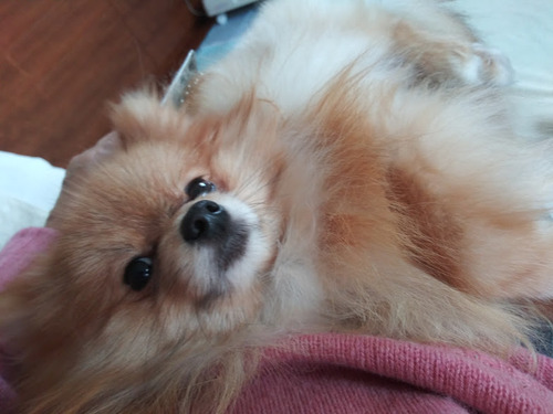 2020(R2)-12-19 äȤ (5)