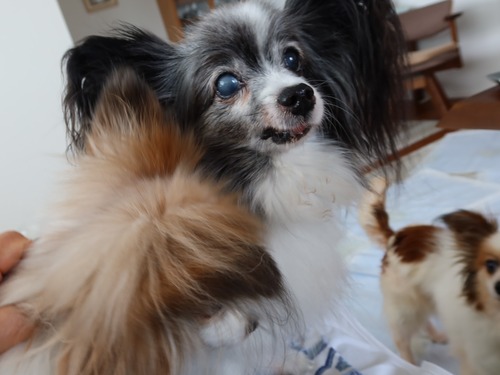 2021(R3)-5-6 ボニーも仲間入り (4)