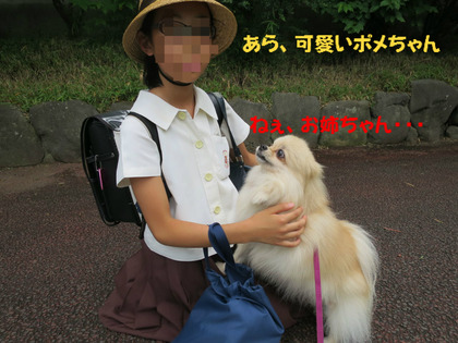BlogPaint