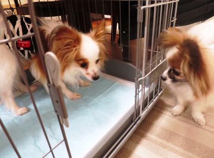 2019(H31)-3-7 �ӥӥ�Υ��ե��� (6)