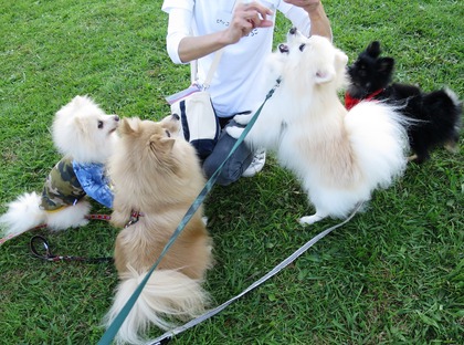 2017-11-3 卒オフ会 (42)