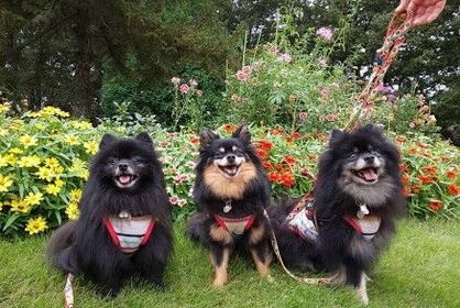 2020-10-4 01 何時もの公園で (2)