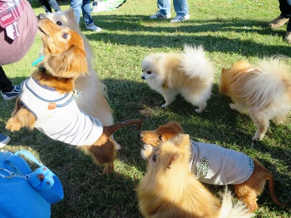 2015(H27)-10-25 第2回卒オフ (188)