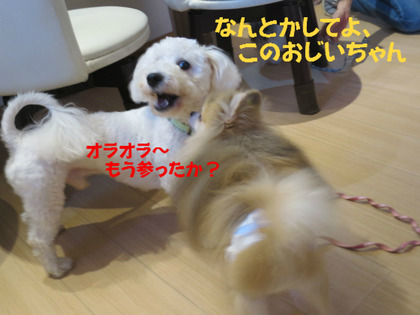 BlogPaint