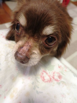 2015-2-17 ���ȤǴŤä���û� (2)