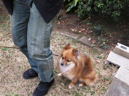 2019(H31)-2-16 ディアのトライアル (21)