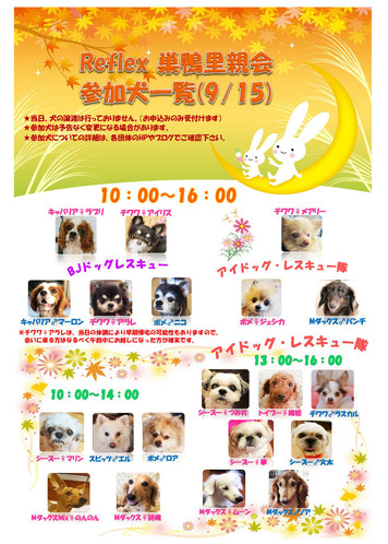 参加犬一覧0915