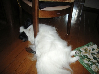 �Լ�ͳ����