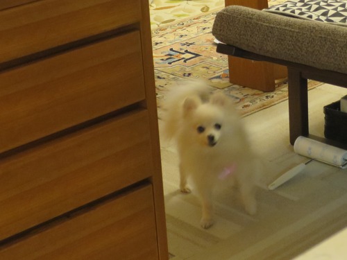 2020(R2)-4-2 ³�Ԥ�����ʤ����� (2)