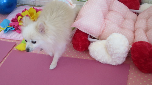 2020(R2)-5-8 ���������Υȥ饤���� (6)