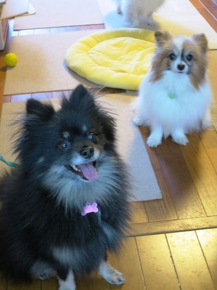 2018(H30)-2-2 ドヤ顔? (3)